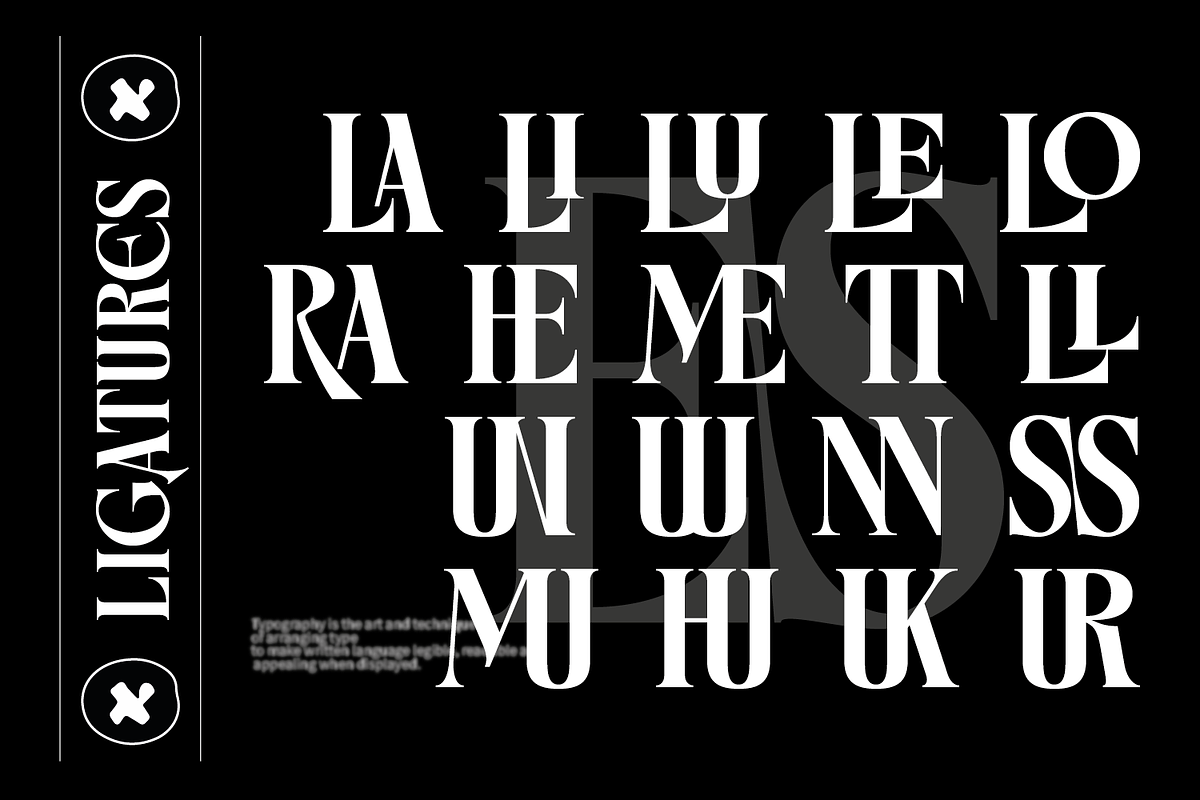 Micilage - Serif Display Typeface, a Serif Font by Comactype Foundry (Photo 20 of 20)