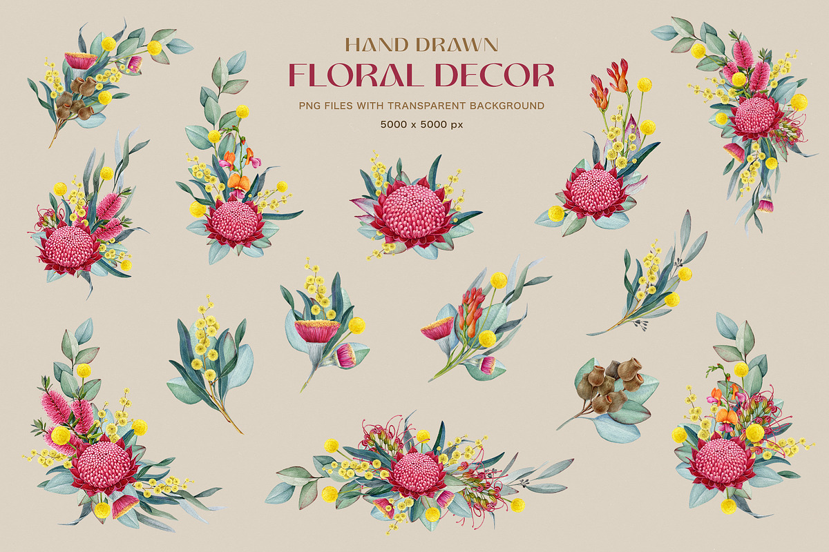 Australia Flora Fauna Clipart, an Animal Illustration by AnitaPol (Photo 16 of 27)