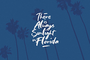 Greylight Brush Font, a Script Font by The Branded Quotes (Thumbnail 4 of 6)