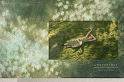Understory Organic Backgrounds, a Background Graphic by alonahaidash (Thumbnail 12 of 15)