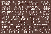 Rough Mosaic font, a Font by Alice_Evans (Thumbnail 8 of 11)