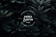Vintage Badges and Logos Bundle V02, a Branding & Logo Template by XpertgraphicD (Thumbnail 13 of 14)