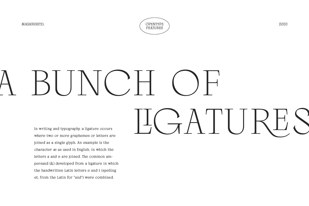 Palmire - Modern Serif Typeface, a Serif Font by Masanis (Photo 13 of 17)