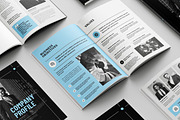 Business Profile Template, a Brochure Template by Niofix (Thumbnail 4 of 6)
