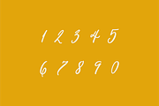 Pen Swan, a Script Font by Great Lakes Lettering (Thumbnail 9 of 11)