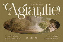 Agiantie | Elegant Tall Serif