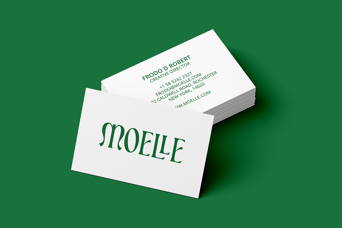 ED Bienova - Display Serif, a Serif Font by Emyself Design (Photo 9 of 12)