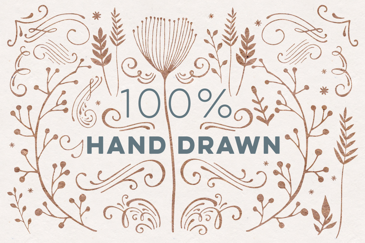 100+ Vector Leaves + Flourishes, a Decorative Illustration by Every Tuesday (Photo 3 of 4)