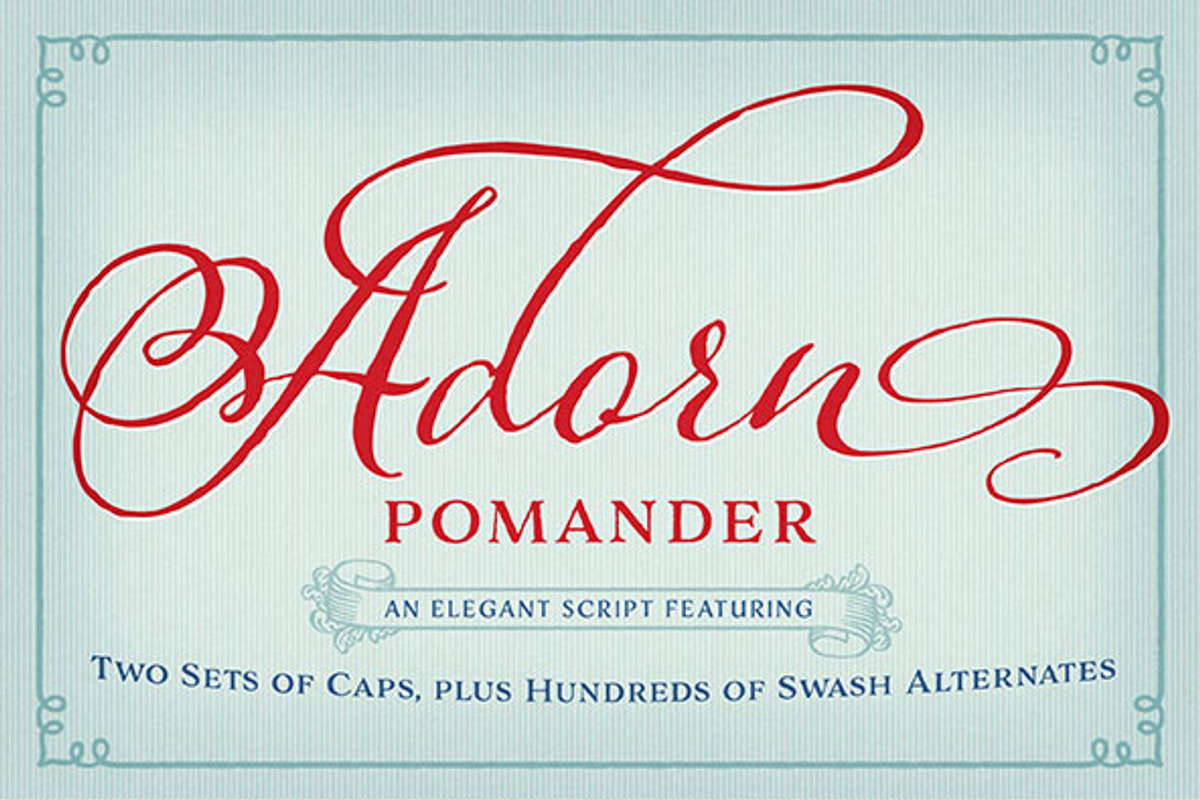 Adorn Collection, a Sans Serif Font by Laura Worthington (Photo 2 of 62)