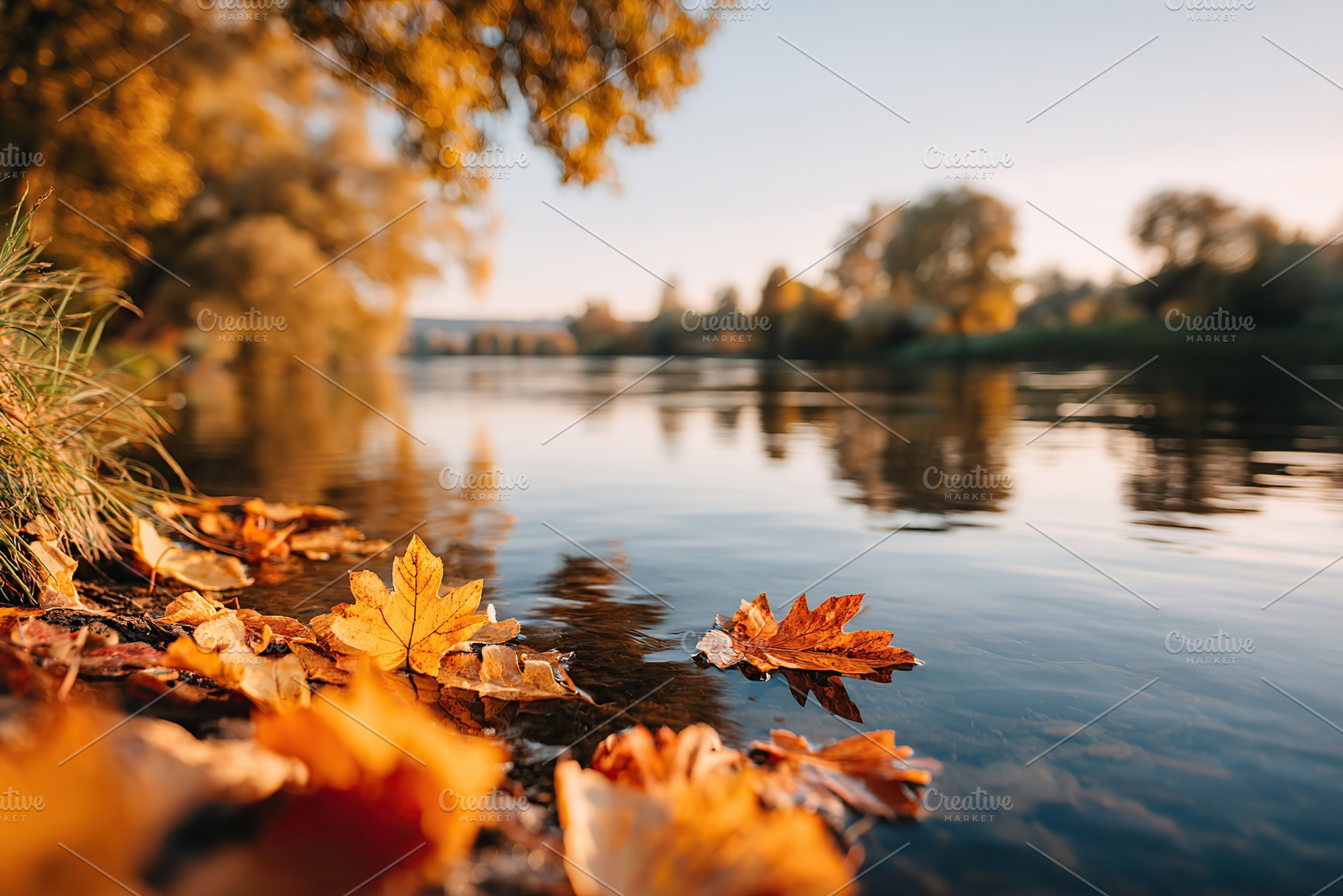 Autumn leaves gently falling near a tranquil riverbank on a sunny afternoon, a Nature Photo by AlyaAnd