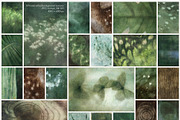 Understory Organic Backgrounds, a Background Graphic by alonahaidash (Thumbnail 8 of 15)