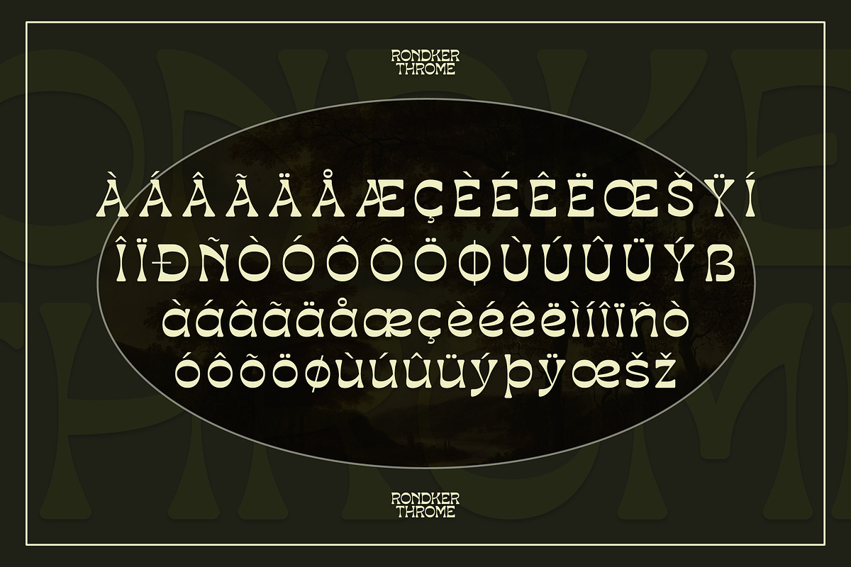 Rondker Throme Reverse Contrast Font, a Serif Font by Storytype Studio (Photo 14 of 15)