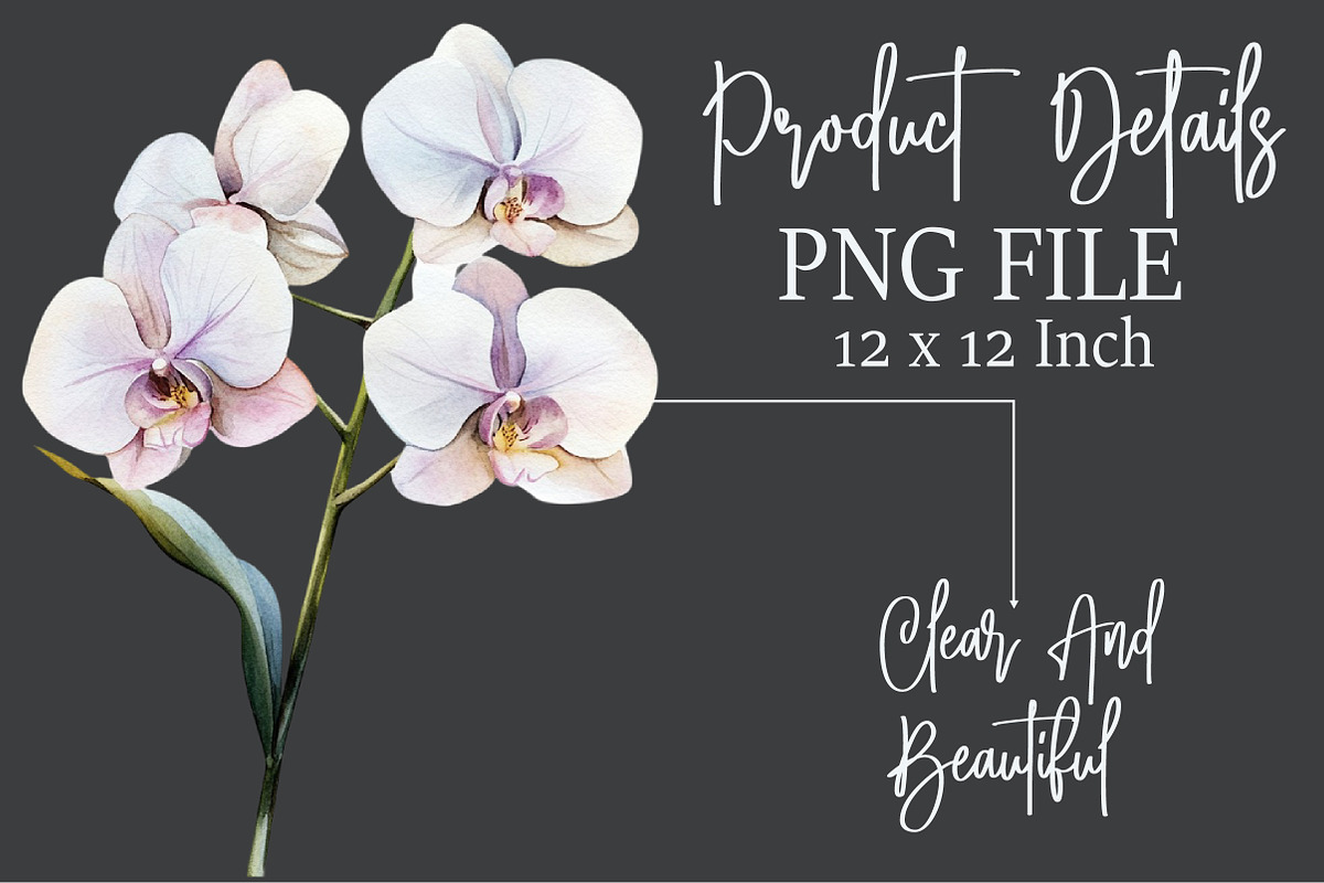 Watercolor Orchid Clipart, an Illustration by Rose Art (Photo 6 of 7)