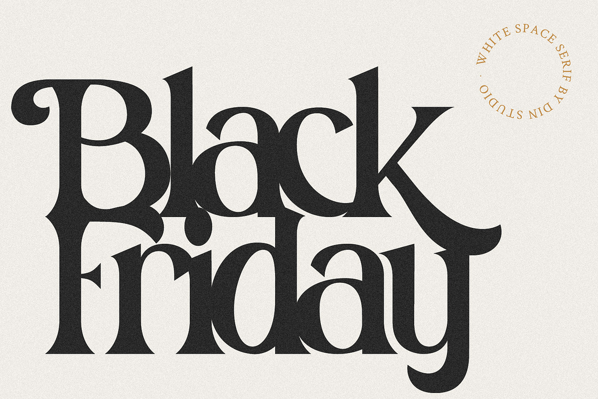 White Space, a Script Font by din-studio.com (Photo 2 of 10)