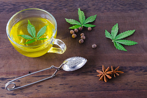 Infusion of cannabis cannabis leaf stock photo containing cannabis and