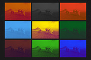 Duotone Photoshop Action, an Action Add-On by Kovalski (Thumbnail 8 of 9)