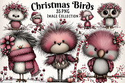Whimsical Christmas Fluffy Birds, an Illustration by Dream Creation (Thumbnail 1 of 7)