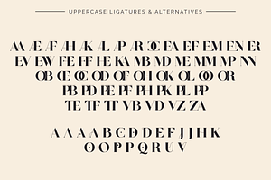 Zanna - Ligature Typeface Logos