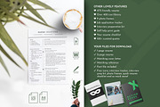 Pages Resume Templates, Word & Doc, a Resume Template by Career Canvas (Thumbnail 5 of 11)