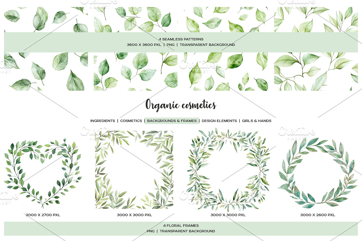 Watercolor organic cosmetic clipart, a Healthcare Illustration by Art and Funny (Photo 4 of 14)