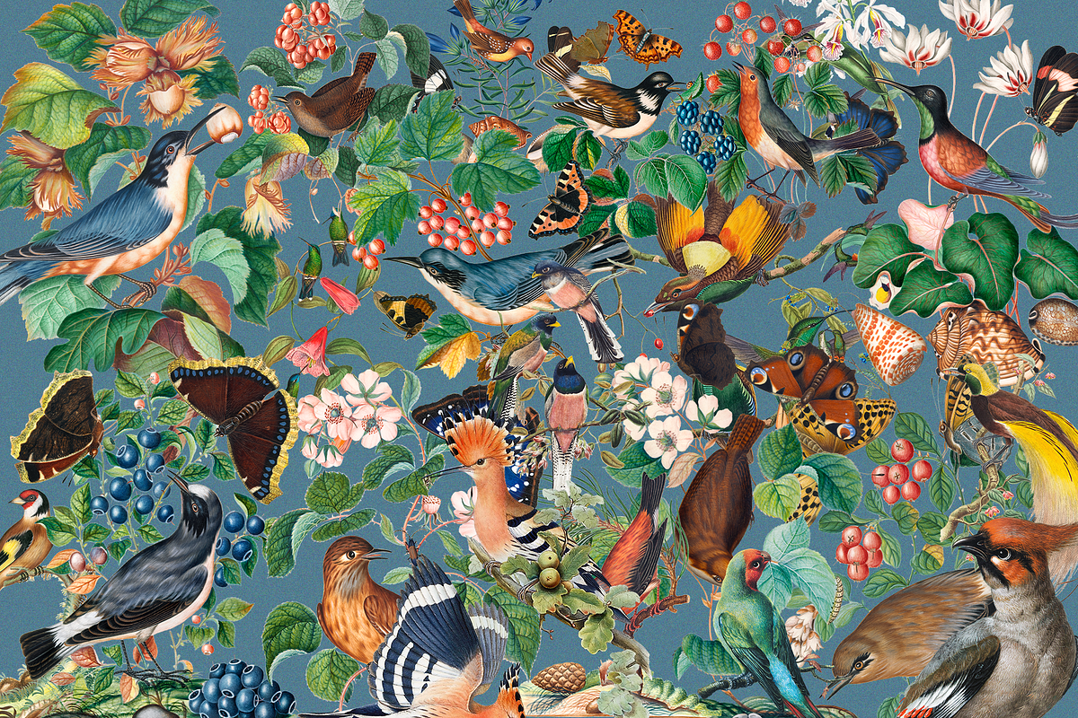 1150 Vintage Bird Illustratins, an Animal Illustration by Lilithcollageart (Photo 9 of 10)