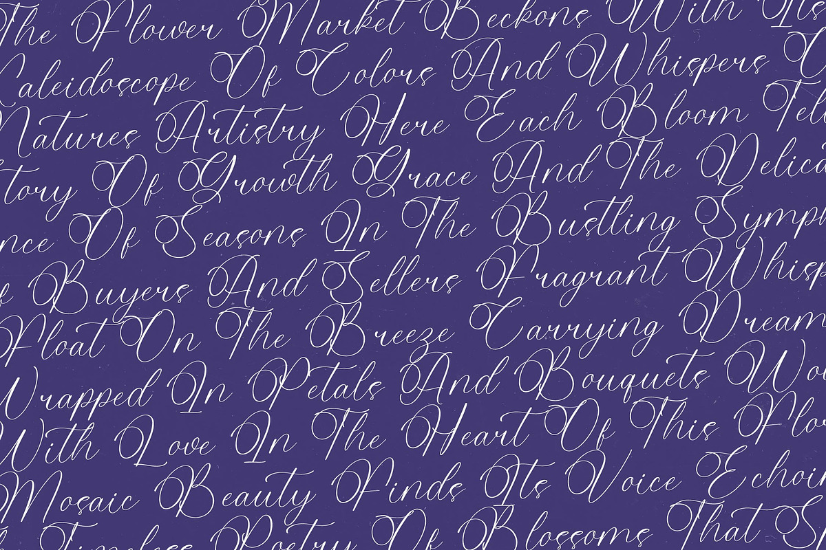 Belati Sophia Modern Beauty Script preview 4