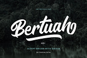 Bertuah Script Brush, a Script Font by Fikry Alfatih (Thumbnail 1 of 8)