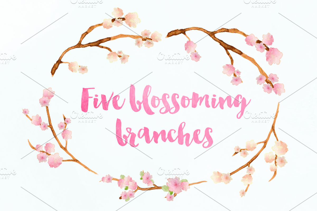 Cherry Blossoms Watercolor Clipart, an Illustration by Emerald & Ivy Studios (Photo 2 of 3)