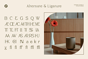 Thelion - Elegant Serif Font, a Serif Font by roomspace creative lab (Thumbnail 12 of 12)