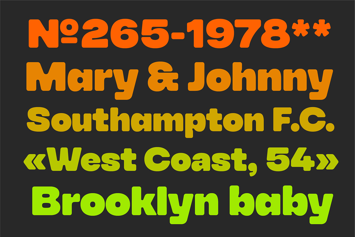 YNF Toyka | Display sans serif, a Sans Serif Font by YNF (Photo 13 of 15)