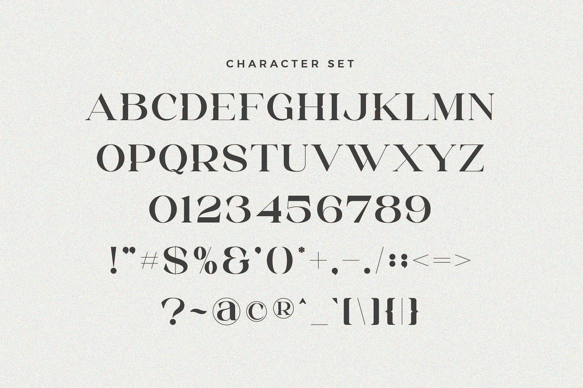 Erigo - Modern Serif Font, a Serif Font by Aqeel_Art (Photo 9 of 10)