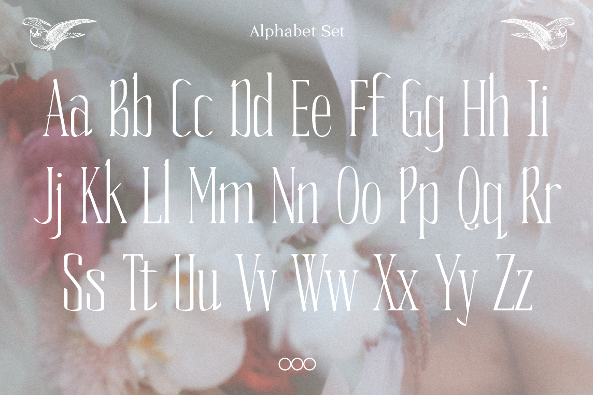 Vows Elegant Condensed Serif, a Serif Font by That That Creative (Photo 2 of 10)