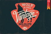 WILD SPIRIT, an Animal Illustration by Artistic & Unique (Thumbnail 3 of 9)