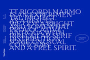 TT Ricordi Marmo, a Serif Font by TypeType (Thumbnail 15 of 15)