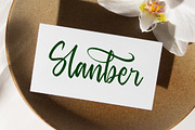 Baghera Thenetta Modern Handwritten, a Script Font by stylishtype.co (Thumbnail 12 of 20)