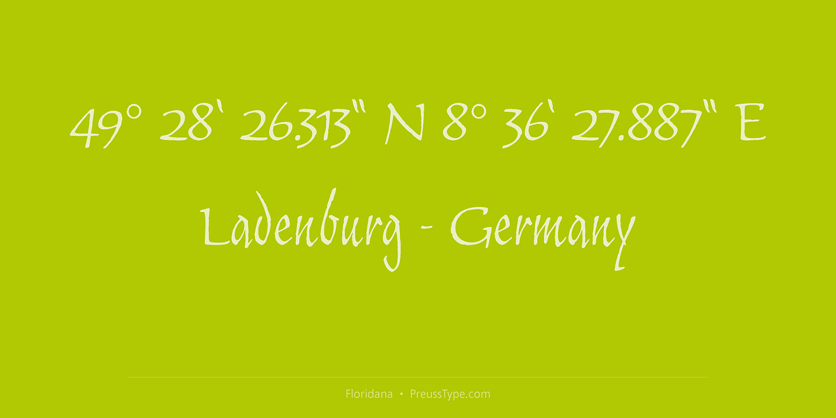 Floridana, a Script Font by preussTYPE (Photo 3 of 8)