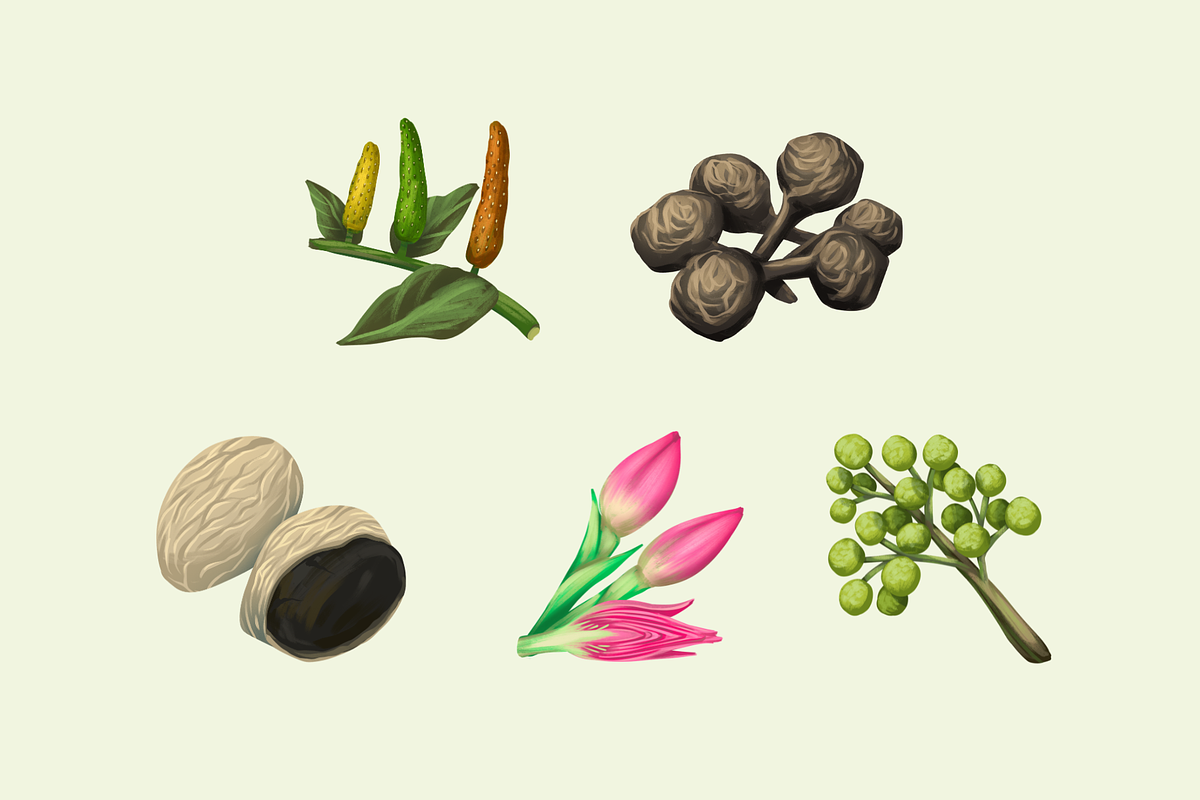Southeast Asian Spices, a Food Illustration by Deemak Daksina (Photo 2 of 3)