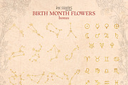 Birth Month Flowers Handcrafted, a Decorative Illustration by Ink Stories (Thumbnail 14 of 15)
