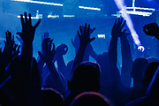 Silhouettes of the palms of crowd, an Arts & Entertainment Photo by jason.zakharychev (Thumbnail 2 of 2)