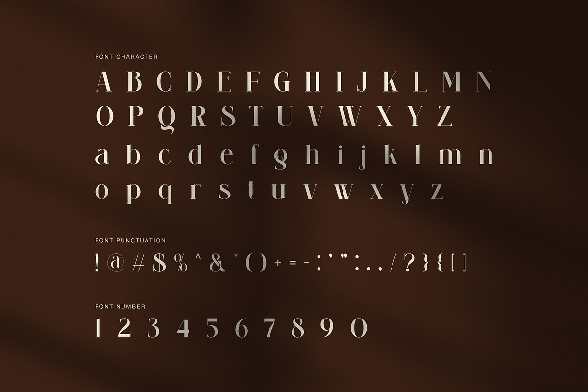Wiilamik Elegant Serif Font, a Serif Font by Perfectype (Photo 7 of 8)