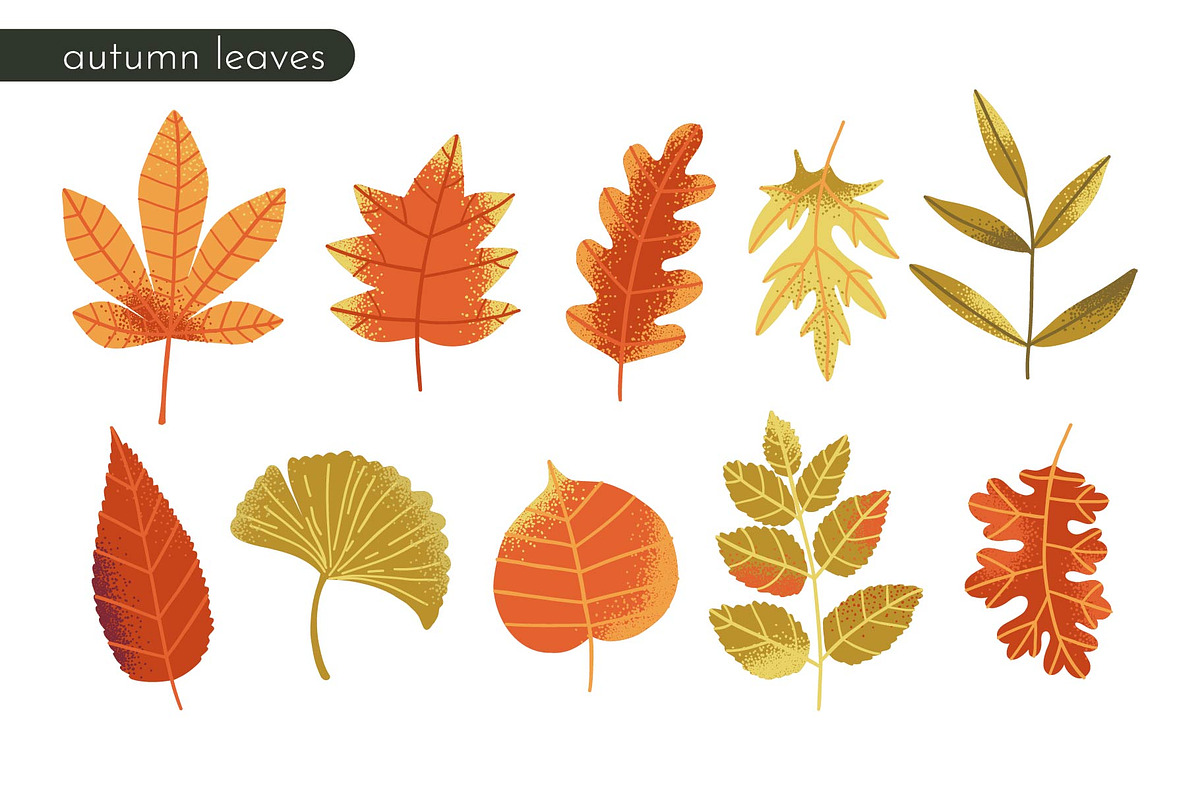 HELLO AUTUMN: clipart|border|pattern, a Seasonal Illustration by Elliko shop (Photo 5 of 12)