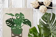 Indoor Plants, Vector Set, an Object Graphic by JSolomatina (Thumbnail 11 of 13)