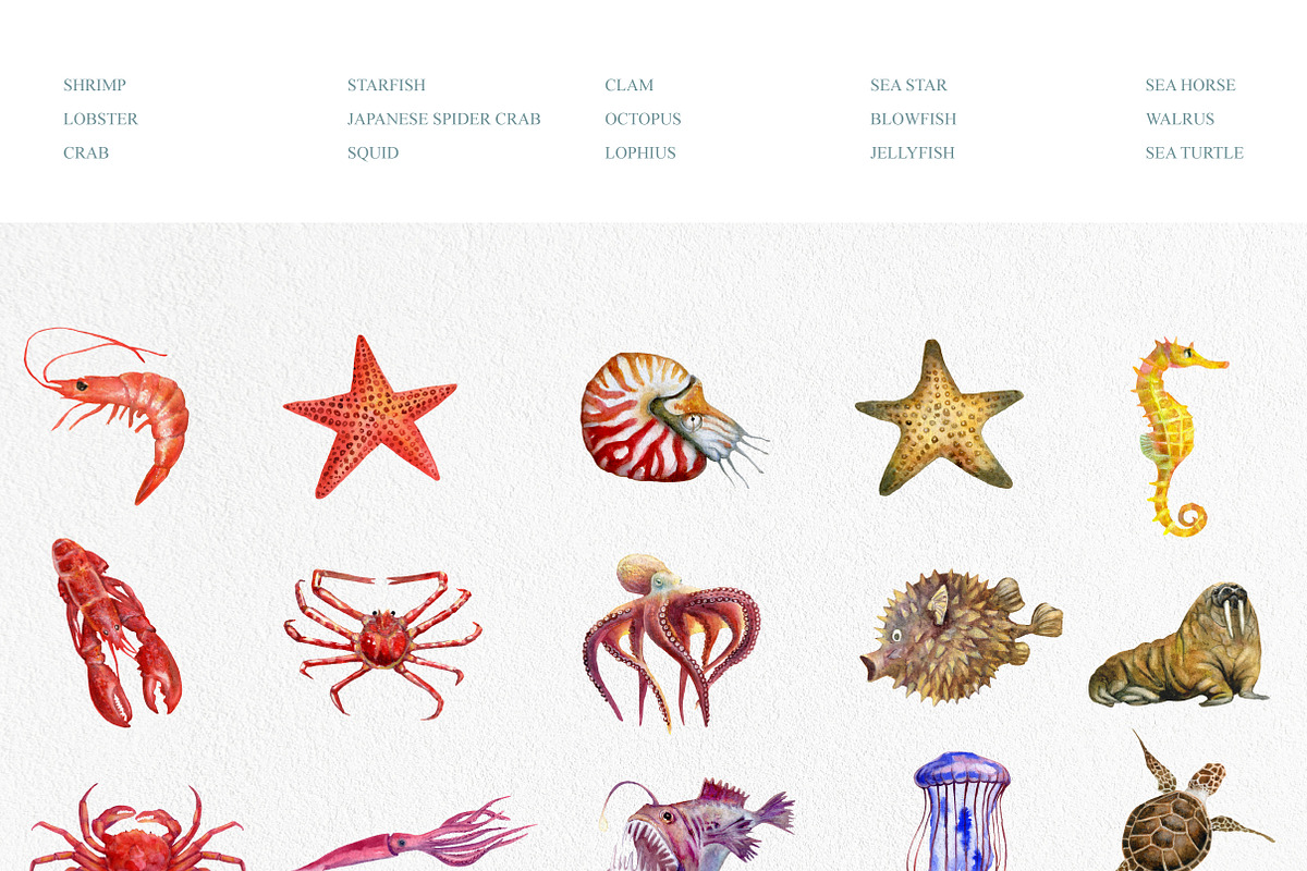 Watercolor sea creatures, an Illustration by Onceli*art (Photo 3 of 8)