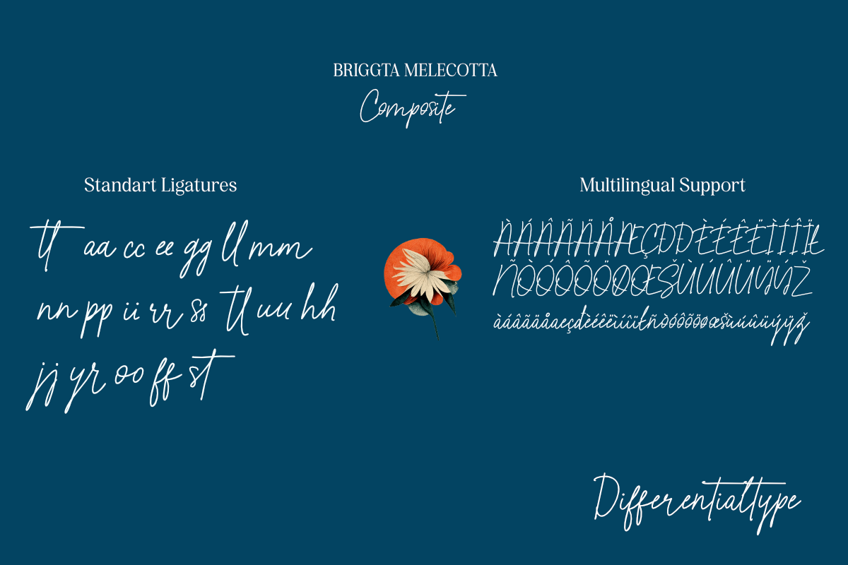 Briggta Melecotta, a Handwritten Font by Differentialtype (Photo 7 of 8)