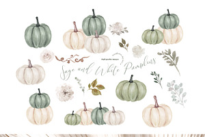 Sage and White Pumpkins Clipart, an Illustration by Sunflower Day Love