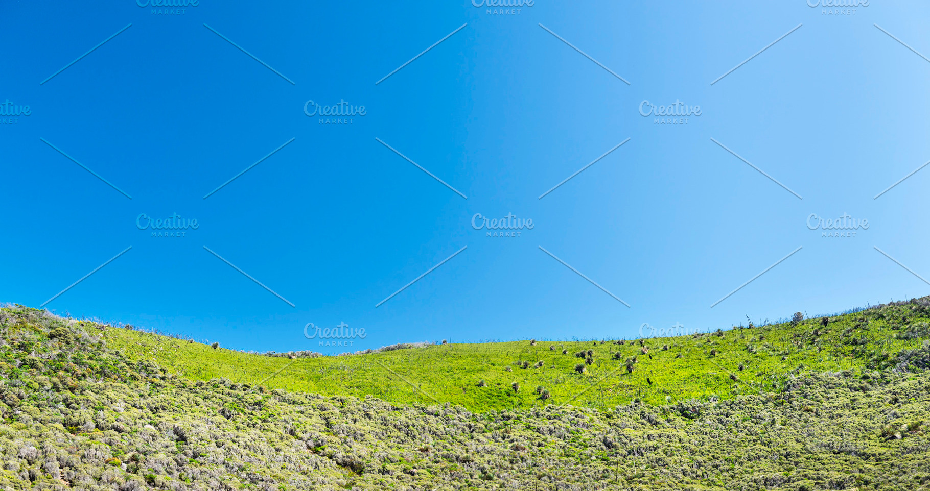 Green Hillside, a Nature Photo by THP Creative