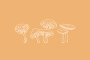 Toadstools Vector Illustrations, a Decorative Illustration by Emma Webb Studio (Thumbnail 5 of 7)