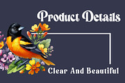 Spring Baltimore Oriole Clipart, a Work Illustration by OK Design (Thumbnail 4 of 4)