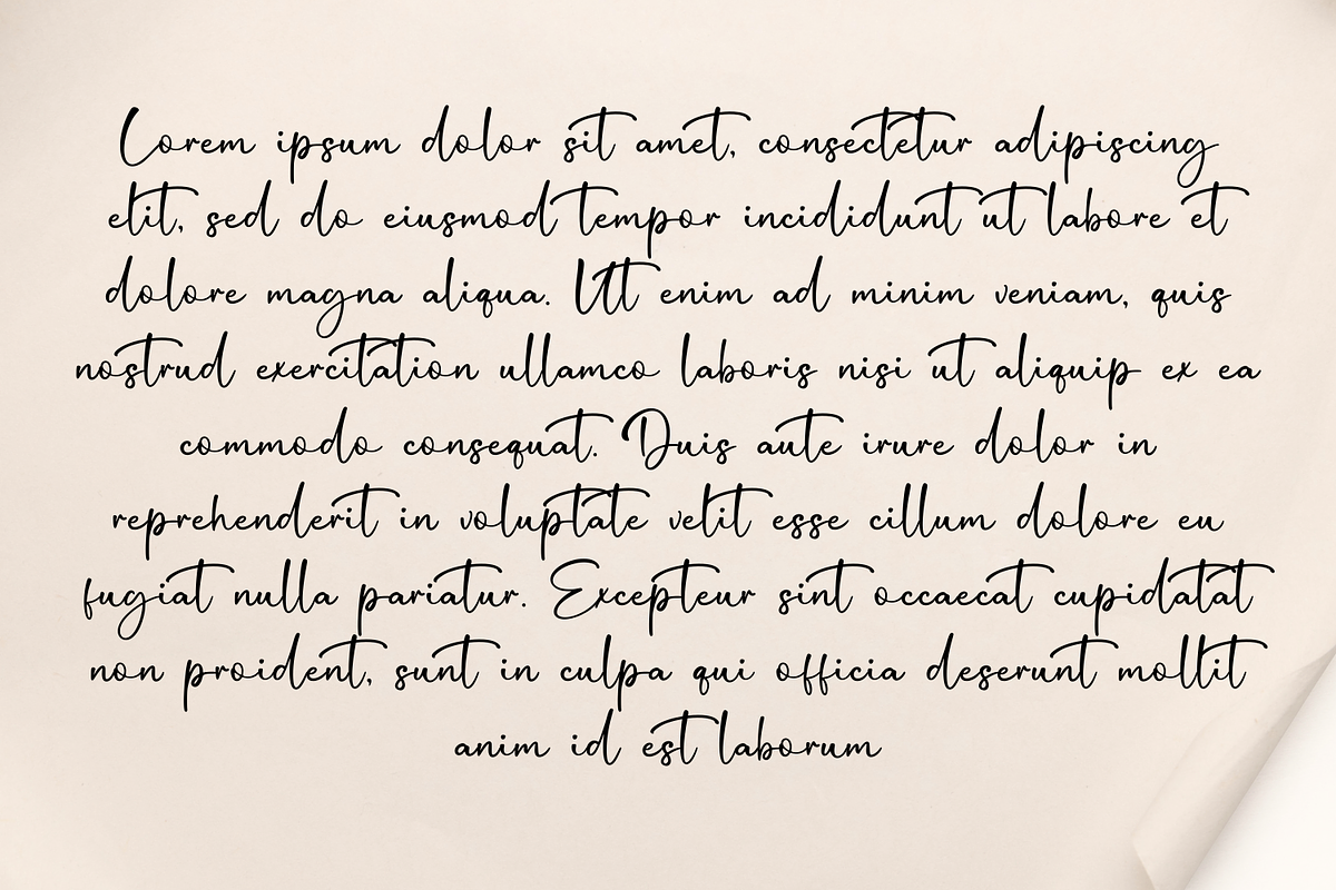 Salystiga Handwritten Font, a Handwritten Font by Basnistudio (Photo 4 of 9)