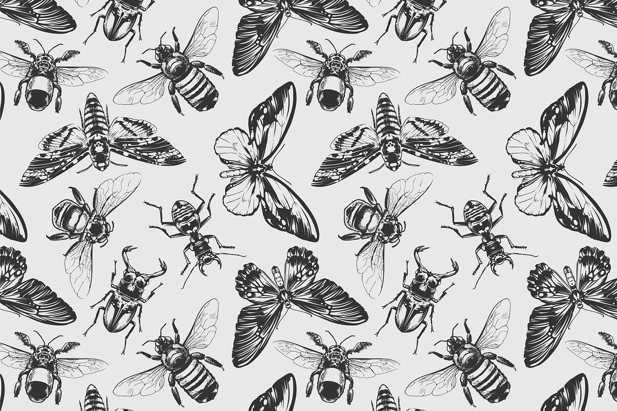Vintage Insects Vector Set, an Animal Illustration by Vecster (Photo 4 of 4)